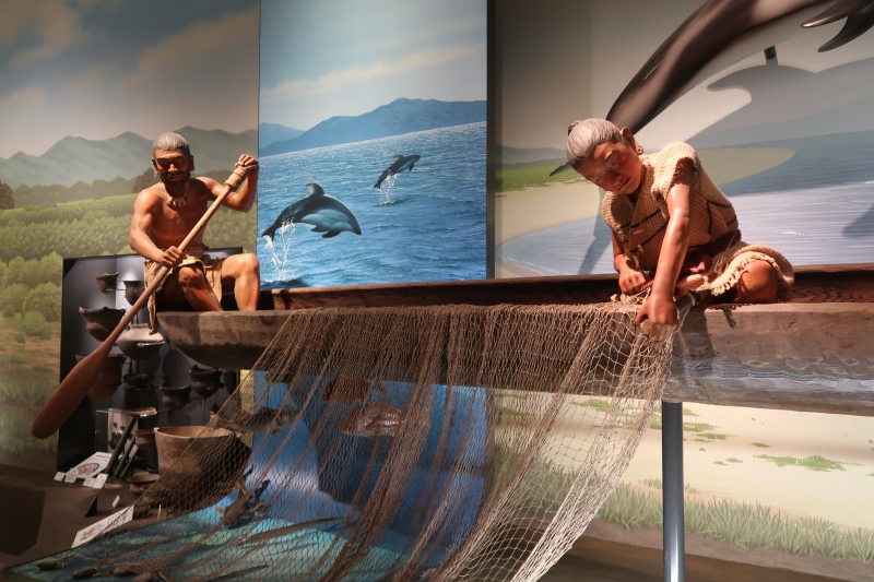 縄文時代の魚とり 兵庫県立 考古博物館